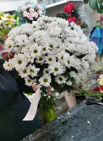 Белый лепесток от интернет-магазина цветов в 