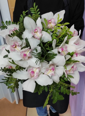 15 орхидей от интернет-магазина цветов в 