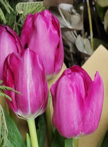 3 тюльпана от интернет-магазина цветов в 