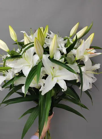 Белая мечта от интернет-магазина цветов в 