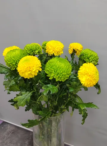 Грин от интернет-магазина цветов в 