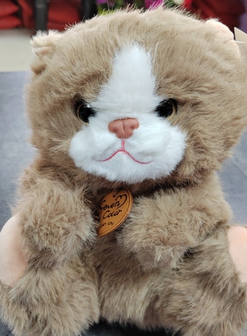 Кошечка бежевая от интернет-магазина цветов в 