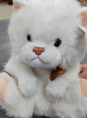  кошечка от интернет-магазина цветов в 