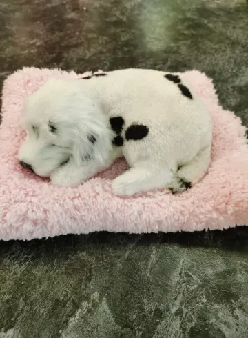 Очень реалистичная собачка от интернет-магазина цветов в 