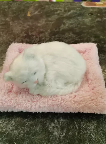 Реалистичный белый котик от интернет-магазина цветов в 