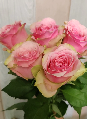 Розовая нежность от интернет-магазина цветов в 