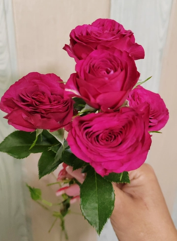 Кустовая розовая роза от интернет-магазина цветов в 