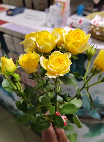 Кустовая желтая роза от интернет-магазина цветов в 