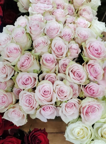 Нежно розовый от интернет-магазина цветов в 