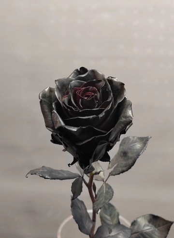 Черная роза Black Mirror от интернет-магазина цветов в 